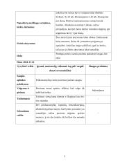 Praktikos psichikos sveikatos slauga ataskaita 4 puslapis