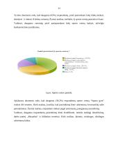 Vilniaus dienos centro „Sparta” konkurencinio pranašumo vertinimas 13 puslapis