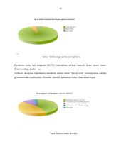 Vilniaus dienos centro „Sparta” konkurencinio pranašumo vertinimas 14 puslapis