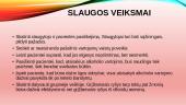 Bendrosios praktikos slaugos studijų programos klinikinio atvejo analizė 10 puslapis