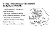 Genetika. Skaidrės 10 puslapis