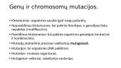 Genetika. Skaidrės 18 puslapis