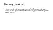 Genetika. Skaidrės 19 puslapis