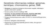 Genetika. Skaidrės 2 puslapis