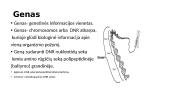 Genetika. Skaidrės 6 puslapis