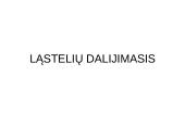 Ląstelių dalijimasis, gyvavimo ciklas
