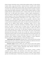 Sandėlio vietos pasirinkimo sprendimai 3 puslapis