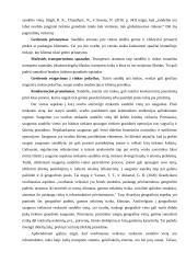 Sandėlio vietos pasirinkimo sprendimai 4 puslapis