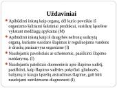 Inkstas – šalinimo organas. Šlapimo susidarymas. Šlapimo sudėties pokyčiai 2 puslapis