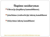 Inkstas – šalinimo organas. Šlapimo susidarymas. Šlapimo sudėties pokyčiai 18 puslapis