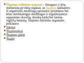 Inkstas – šalinimo organas. Šlapimo susidarymas. Šlapimo sudėties pokyčiai 3 puslapis