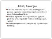 Inkstas – šalinimo organas. Šlapimo susidarymas. Šlapimo sudėties pokyčiai 7 puslapis