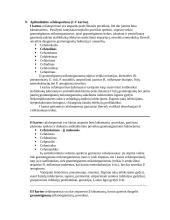 Klausimynas. Antibiotikai 4 puslapis