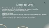 GMO privalumai ir trūkumai 7 puslapis