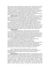 Viskas apie sidabrą 2 puslapis