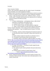 Kaip vaizduojama emigranto dalia XX a. II pusės ir šiuolaikinėje lietuvių literatūroje? Kalba su planu 5 puslapis