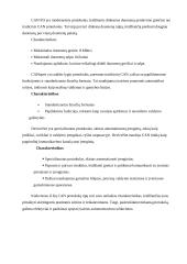 Automobilio valdymo blokai ir komunikacijos 9 puslapis