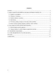 Vaikui skirtos higieniškos aplinkos kūrimas darželyje