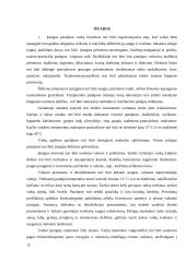 Vaikui skirtos higieniškos aplinkos kūrimas darželyje 11 puslapis