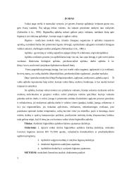 Vaikui skirtos higieniškos aplinkos kūrimas darželyje 2 puslapis