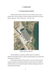 Nuotėkį mažinančios priemonės (apželdintas stogas) parinkimas ir pritaikymas pasirinktam objektui 7 puslapis