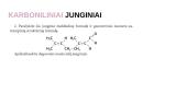 Funkcinės grupės ir organinių junginių klasės 13 puslapis