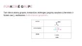 Funkcinės grupės ir organinių junginių klasės 3 puslapis