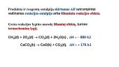 Šiluminis reakcijų efektas 10 puslapis