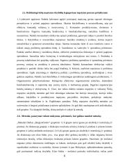 Šešių mąstymo skrybėlių metodikos nauda 6 puslapis
