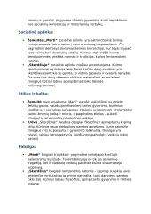 Žemaitės „Marti“ ir Vinco Krėvės „Skerdžius“. Palyginimas 2 puslapis