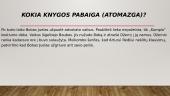 Knygos pristatymas „Nežudyk strazdo giesmininko“ 5 puslapis