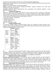 Strateginio valdymo teorija 3 puslapis