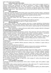 Strateginio valdymo teorija 4 puslapis