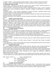 Strateginio valdymo teorija 6 puslapis