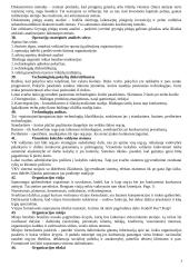 Strateginio valdymo teorija 7 puslapis