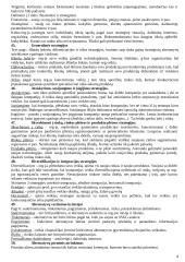 Strateginio valdymo teorija 8 puslapis