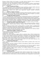 Strateginio valdymo teorija 9 puslapis