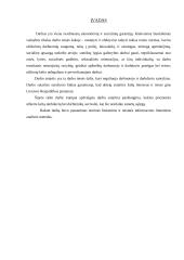 Darbo sutarties pabaigimas