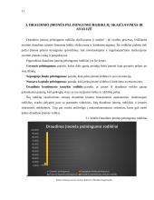 IF draudimas veiklos analizė 10 puslapis