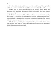 IF draudimas veiklos analizė 11 puslapis