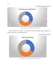 IF draudimas veiklos analizė 13 puslapis