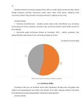 IF draudimas veiklos analizė 15 puslapis