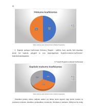 IF draudimas veiklos analizė 17 puslapis