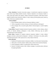 IF draudimas veiklos analizė 2 puslapis