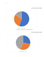 IF draudimas veiklos analizė 4 puslapis