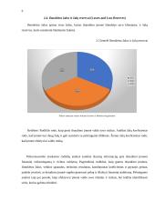 IF draudimas veiklos analizė 8 puslapis