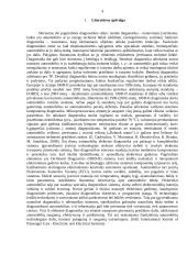 Lengvųjų automobilių diagnostikos sistemų įdiegimas 3 puslapis