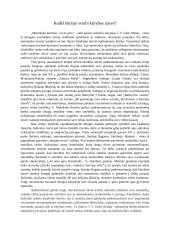 Kodėl kūrėjui svarbi kūrybos laisvė? (Rašinys)