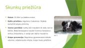 Skunkai 6 puslapis