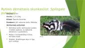 Skunkai 9 puslapis
